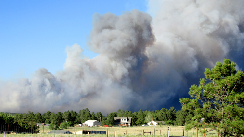 Fire Black Forest15 Goerzen 500 lr