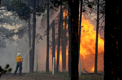 Fire Black Forest16 Gazette Jerilee Bennett lr