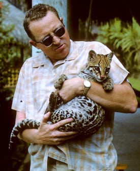 Mac McCloud05 ocelot lr
