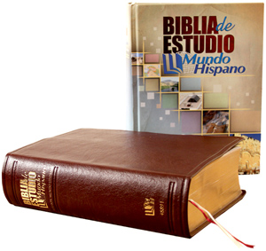 Study Bible book cover4 lr