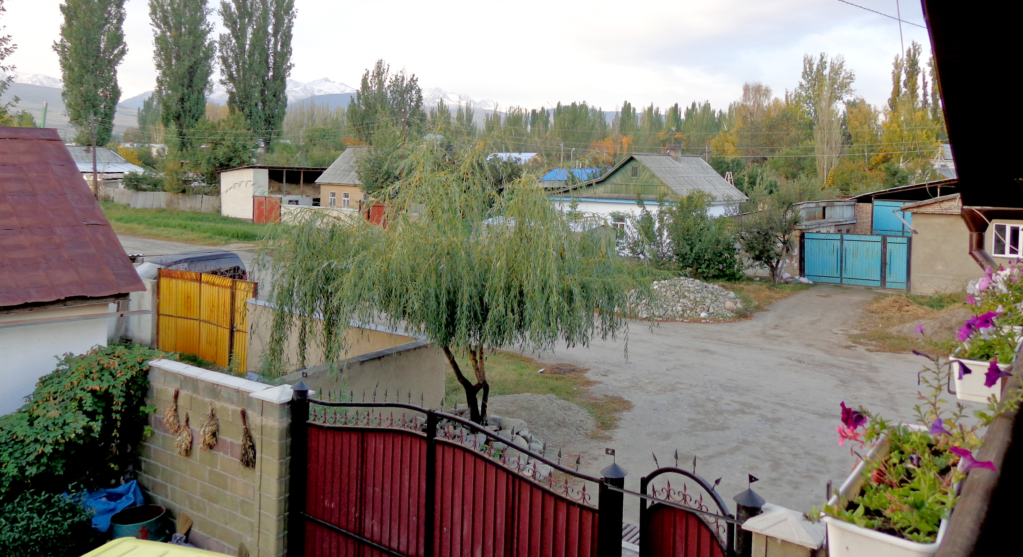Typical neighborhood in Central Asia