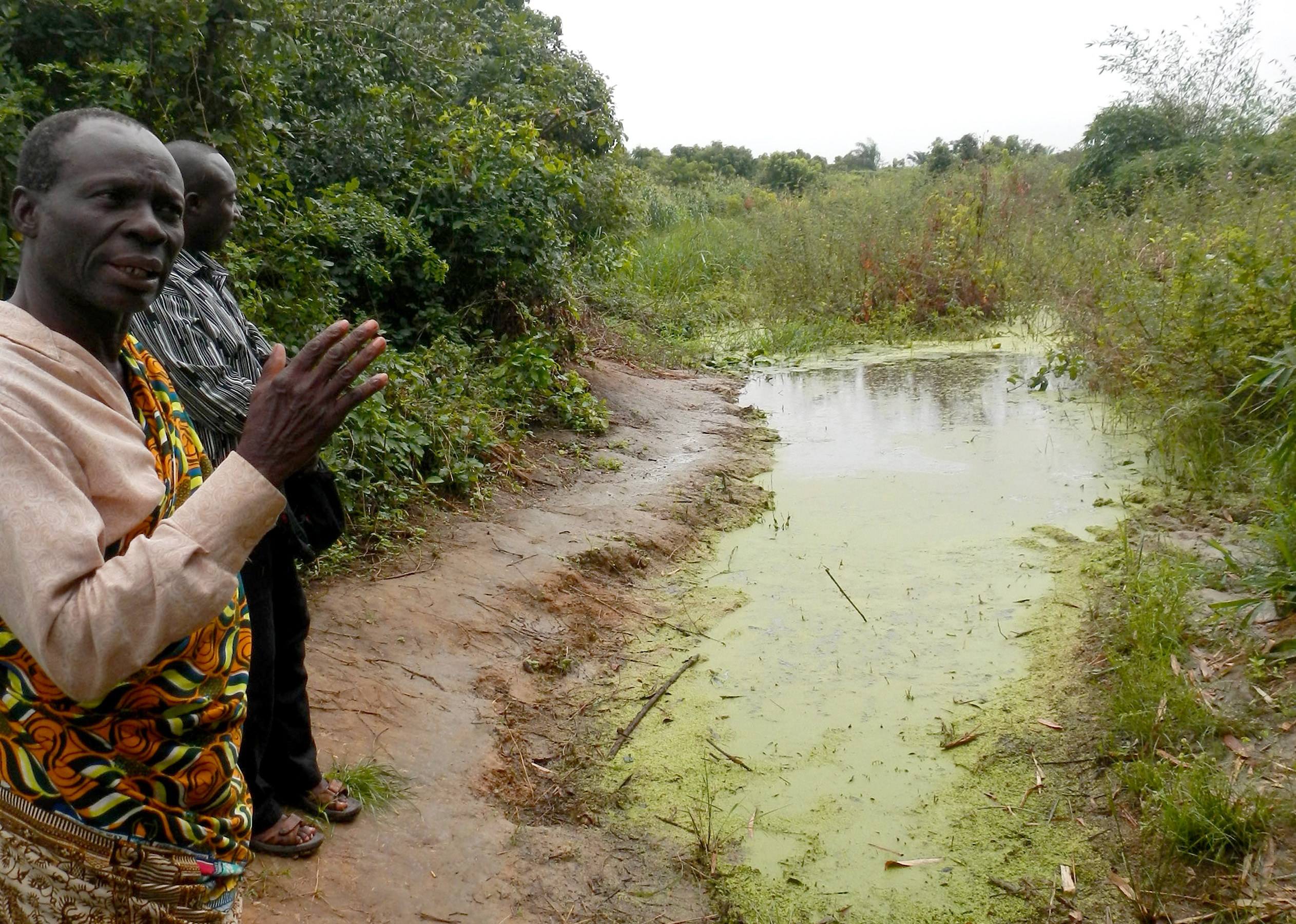 This filthy waterhole is the main source of water for the remote village of Doglokpo in Volta, Ghana.