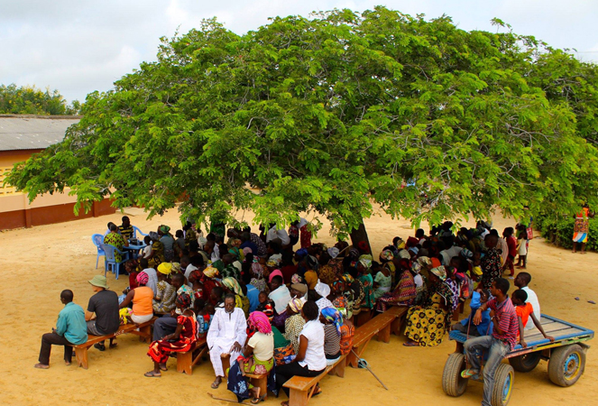 Patients beneath a large tree wait to see a medical doctor.
