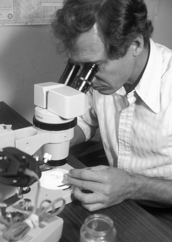 Dr. Ron Guderian using a microscope to conduct medical research.