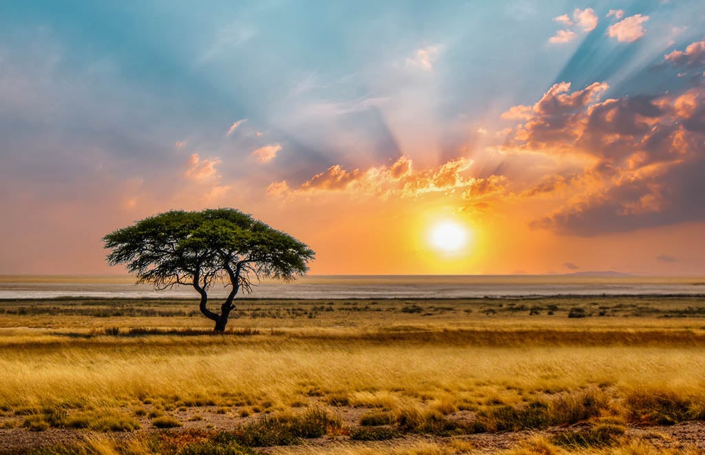 Sunset in Tanzania