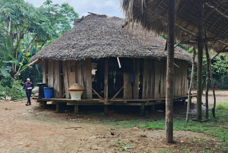 A home in the Amazon Jungle of Ecuador