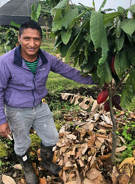 Pedro with a Cacao tree